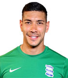 Neil Leonard Dula Etheridge Logo