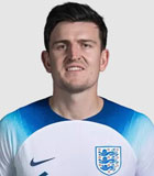 Harry Maguire Logo