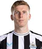 Matt Targett Logo