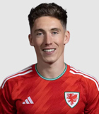 Harry Wilson Logo