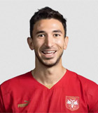 Marko Grujic Logo